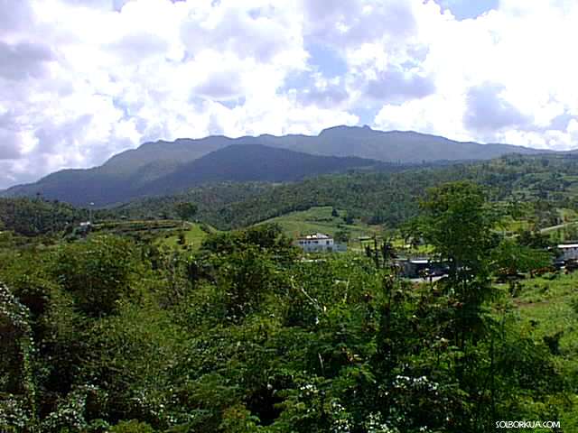 EL Yunque