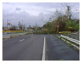 La Caida De Arboles Y Escombros Cerraron El Paso De La Mayora De Las Carreteras