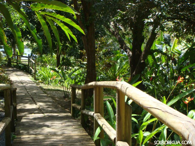 Vereda en el Jardín