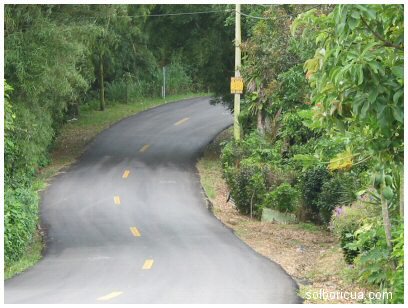 Carretera Panoramica PR123